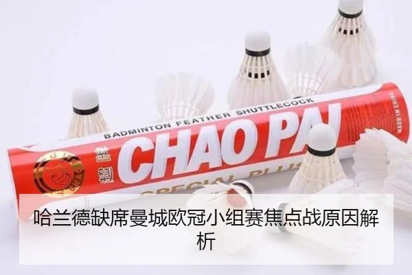 哈兰德缺席曼城欧冠小组赛焦点战原因解析